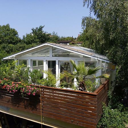 Greenhouse Just 15 Min From The Old Town Bratislava Exteriör bild